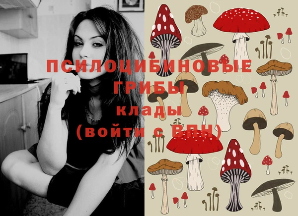 твердый Абдулино