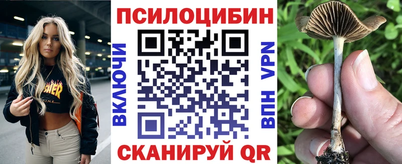 Псилоцибиновые грибы Cubensis  Шарья 